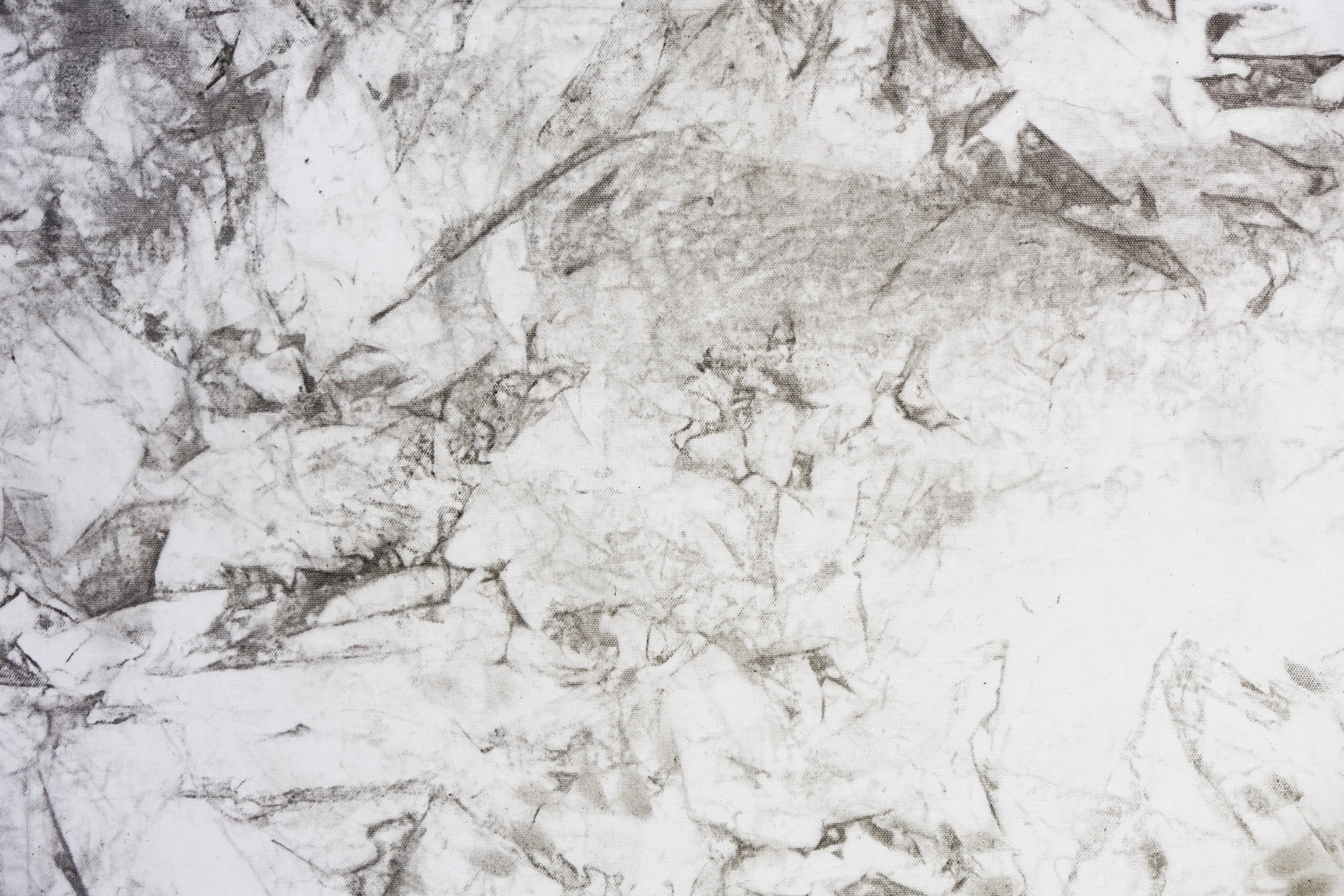 to whom it may concern